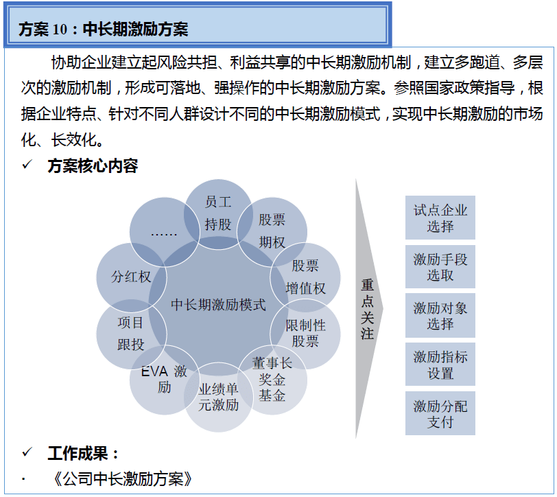 中美嘉倫&ldquo;雙百行動&rdquo;國企改革咨詢服務產品手冊
