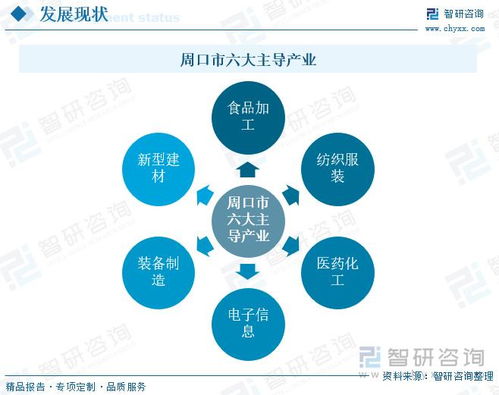河南周口市新質(zhì)生產(chǎn)力 產(chǎn)業(yè)體系構(gòu)建取得新突破,主導(dǎo)優(yōu)勢(shì)產(chǎn)業(yè)集聚